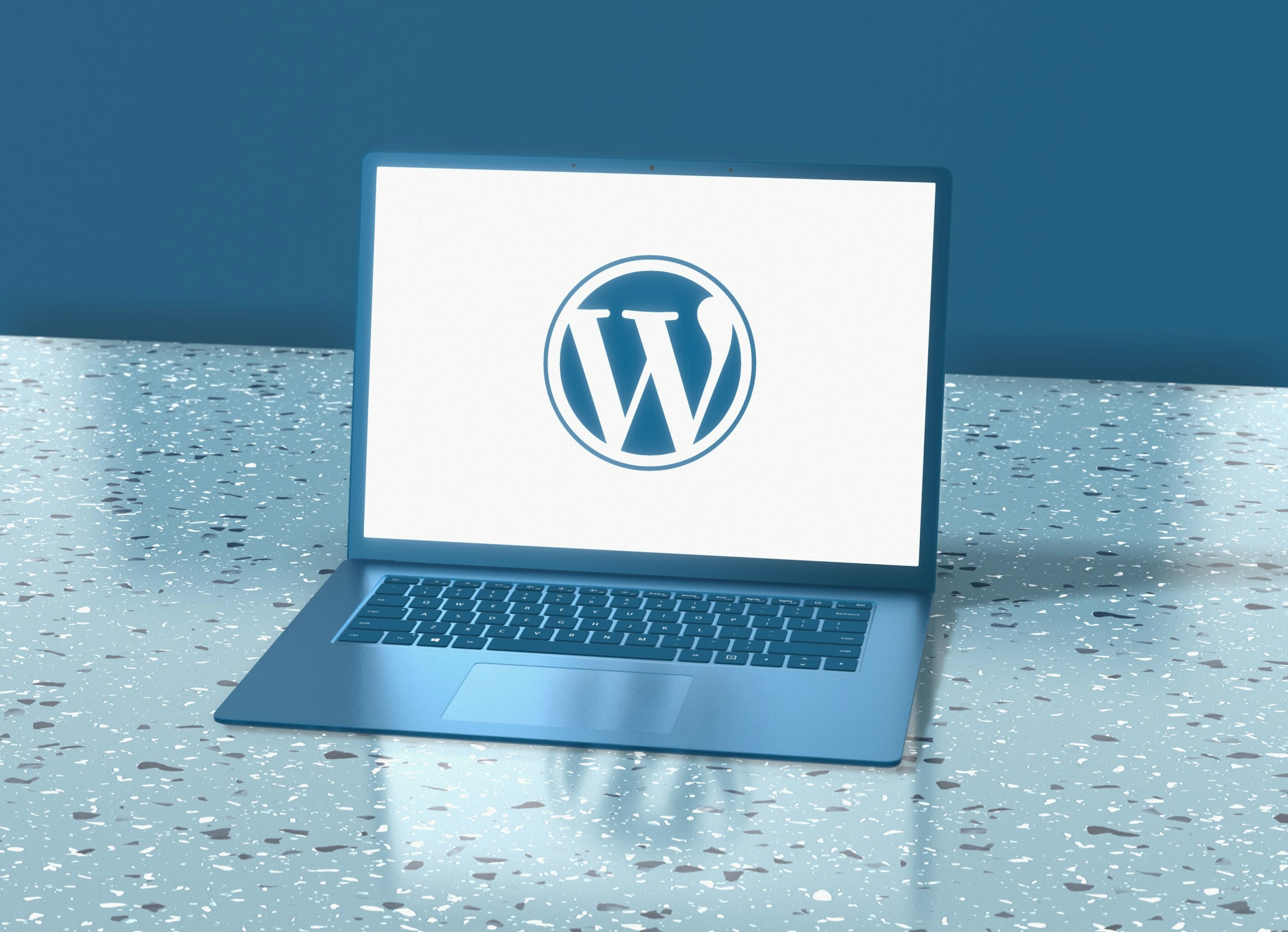 wordpress website - WordPress SEO for Dummies