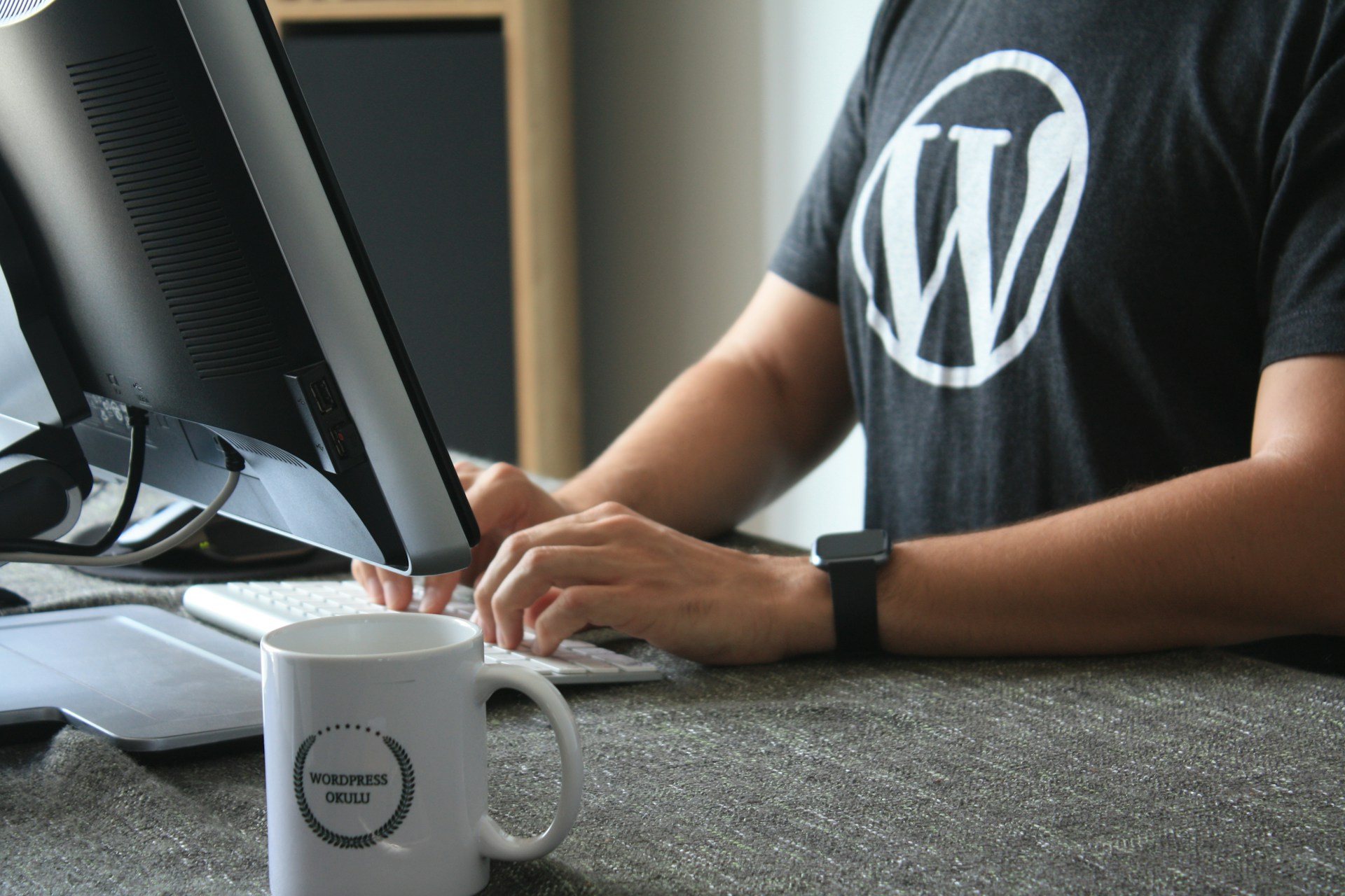 man making wp changes - WordPress SEO for Dummies