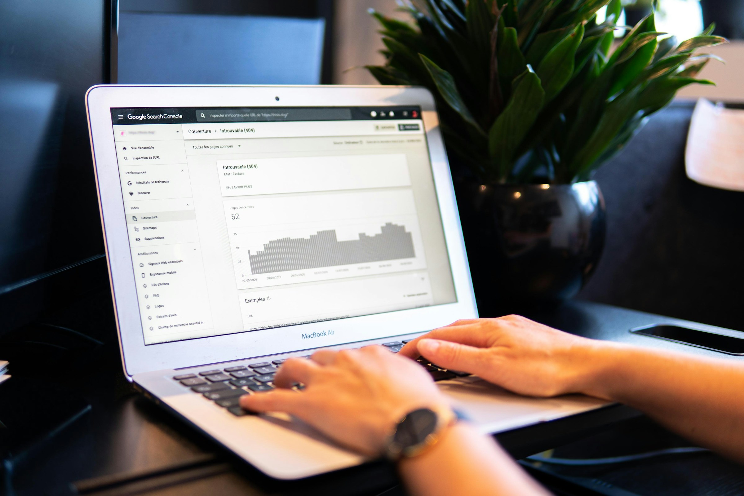 Person Seeing stats - SEO Packages Pricing